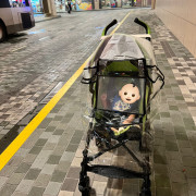 現貨- 防雨防飛沫雨擋